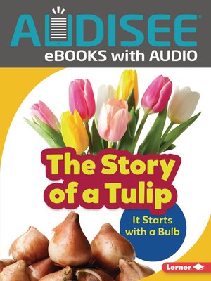 cover image of The Story of a Tulip
